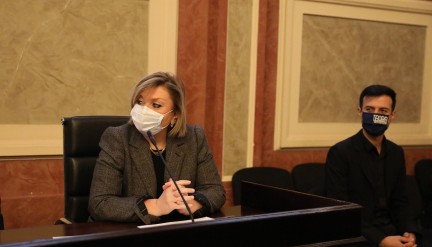თბილისის საკრებულოში მოსწავლე-ახალგაზრდობის ეროვნული სასახლის ერთი წლის ანგარიში განიხილეს
